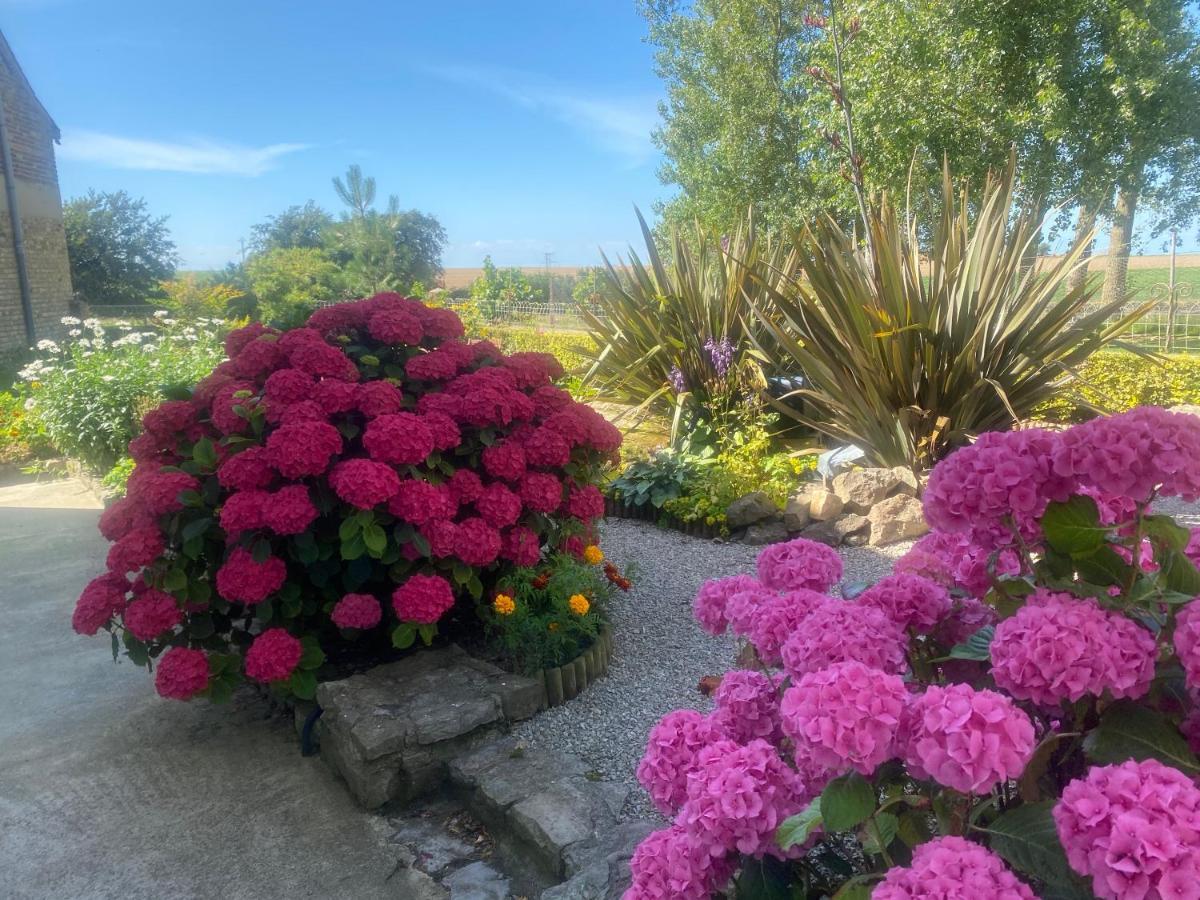 Ferme "Les Flaquettes" Bed and Breakfast Guînes Εξωτερικό φωτογραφία