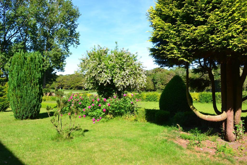 Ferme "Les Flaquettes" Bed and Breakfast Guînes Εξωτερικό φωτογραφία